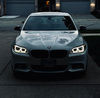 malpsf10